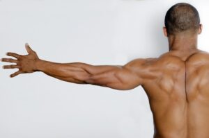 back-muscles